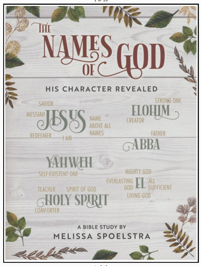 The Names of God book